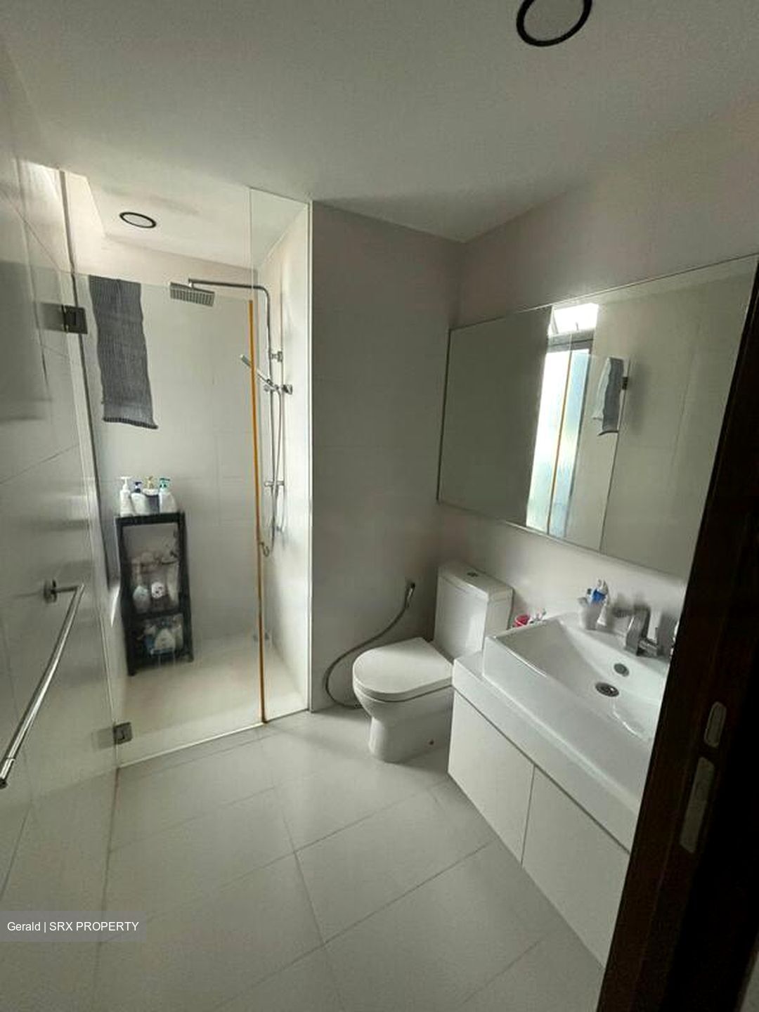 Ascentia Sky (D3), Condominium #462806341